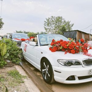 Xe Hoa Mui Trần – BMW