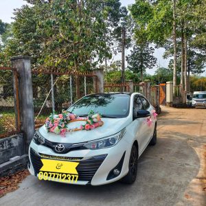 XE cưới Vios