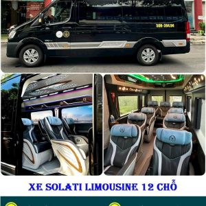 LIMOUSINE 12 Ghế